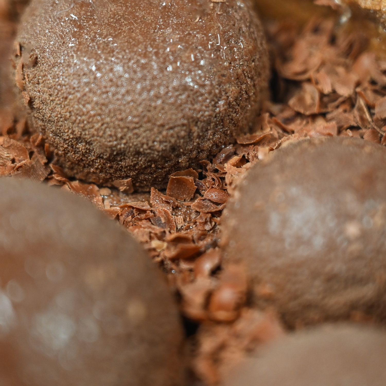 Charlotte au chocolat – Image 3